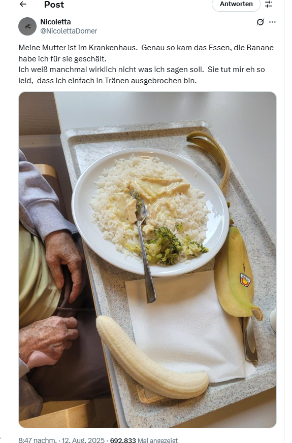 Tablett mit Essen in Klinik, Reis, Hühnerfrikassee, weiße Soße, Banane